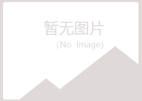 鞍山立山从安能源有限公司